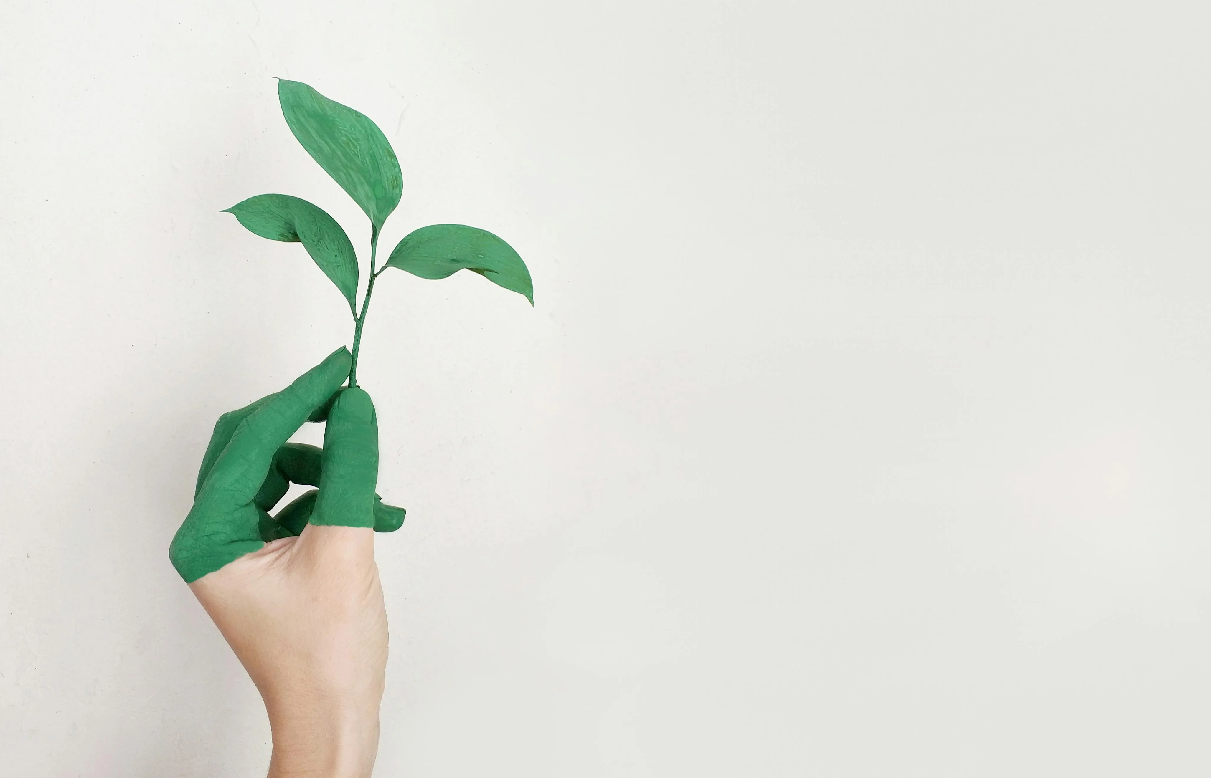 Waxing treatment at Peony Beauty Melbourne